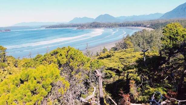 A coastal landscape with a beach, forested area, and mountains in the background.
