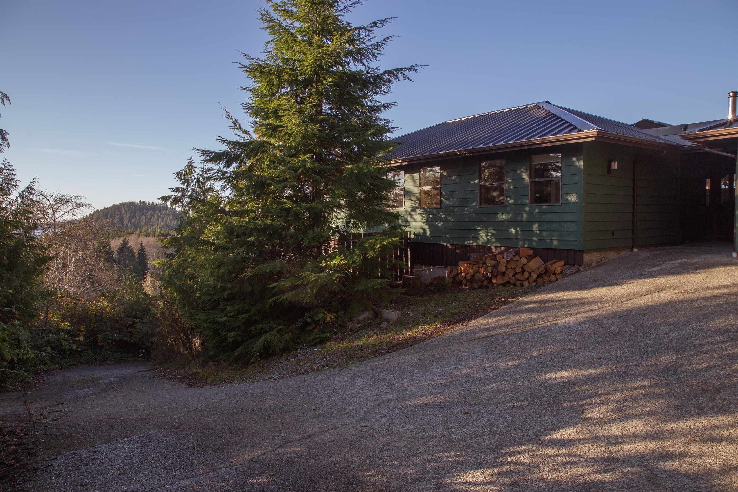 A rustic cabin with a metal roof, surrounded by dense forest and a gravel driveway.