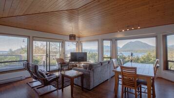 TV connectée, cheminée, livres