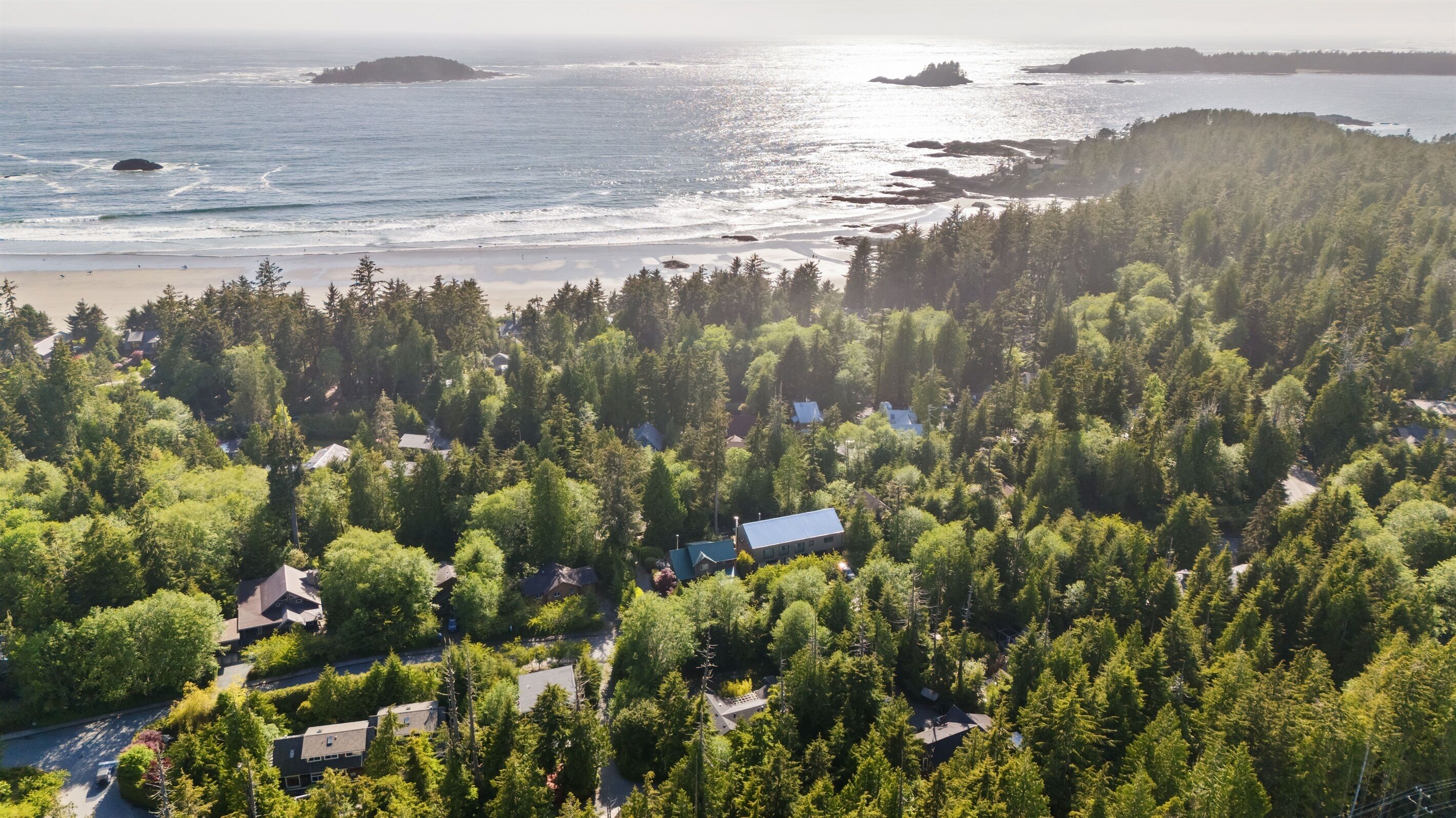 A forested area with houses and a beach.