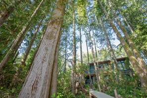 Overnattingsstedets uteområder