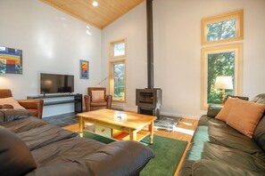 Smart-TV, Kamin