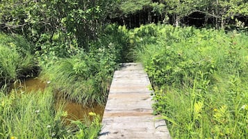 Overnatningsstedets område