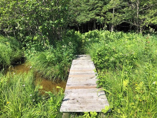 Your own Nature Retreat, minutes from town and wilderness opportuntities