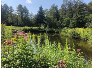 Property grounds - Your own Nature Retreat, minutes from town and wilderness opportuntities (Marquette)