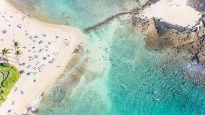 An aerial view of a beach with clear turquoise waters, a sandy shore, and several palm trees. - *NEW Poipu 2BR Retreat|Pool|AC & Athletic Club (Koloa)
