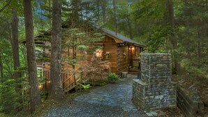 A log cabin with a stone pathway leading to the entrance, surrounded by dense forest. - Sunrise View-10 Min to Blue Ridge,Hot Tub-3 BR (Blue Ridge)