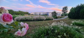 المنطقة المحيطة بالمنشأة