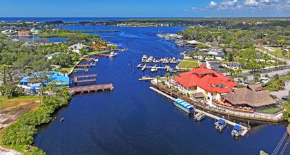 The Flamingo on the Cotee River