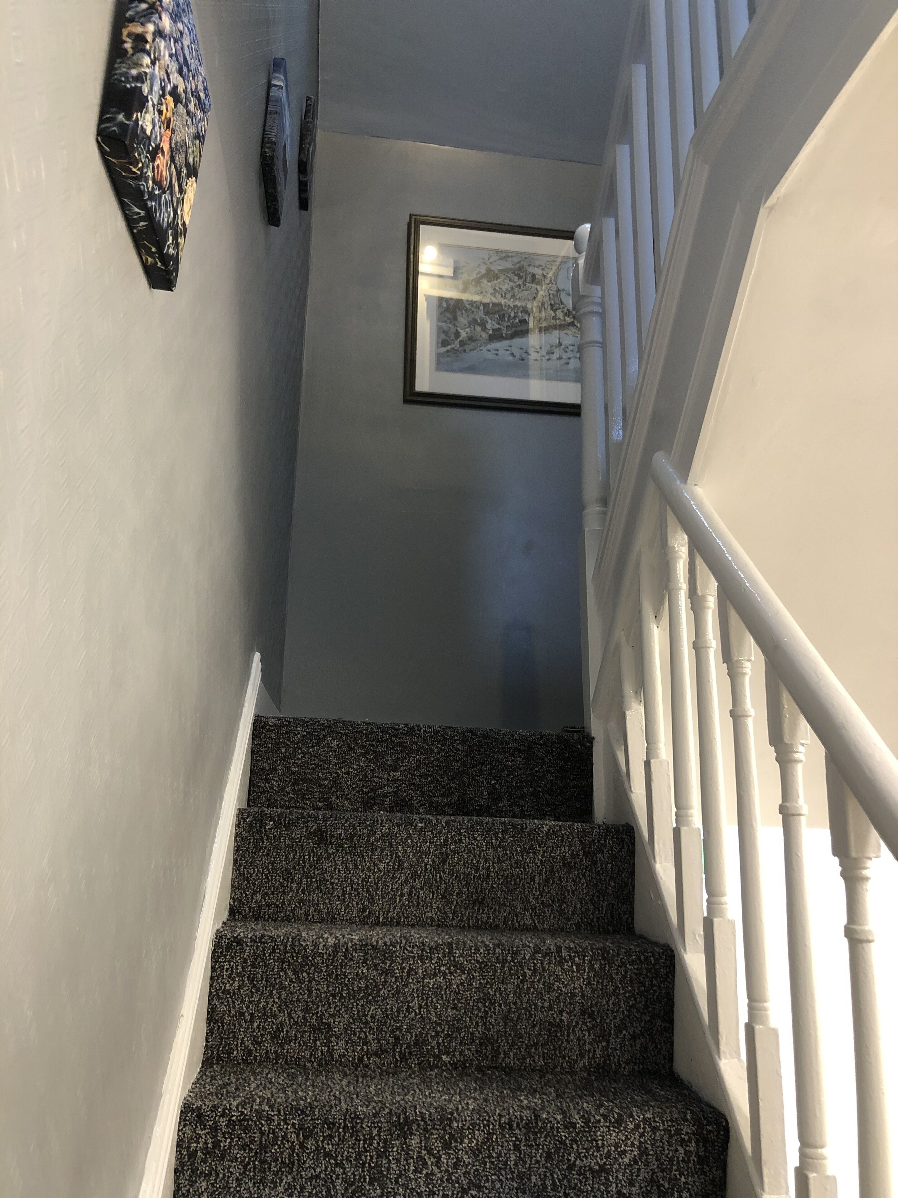 A staircase with a handrail, carpeted steps, and a framed picture on the wall.