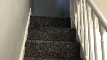 A staircase with a handrail, carpeted steps, and a framed picture on the wall.