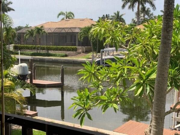A view of a water body with a dock, palm trees, and a building with a tiled roof. - Walking distance to the BEACH!!! (Marco Island)