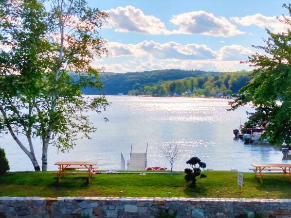 Unclassified image, 1 of 31, button