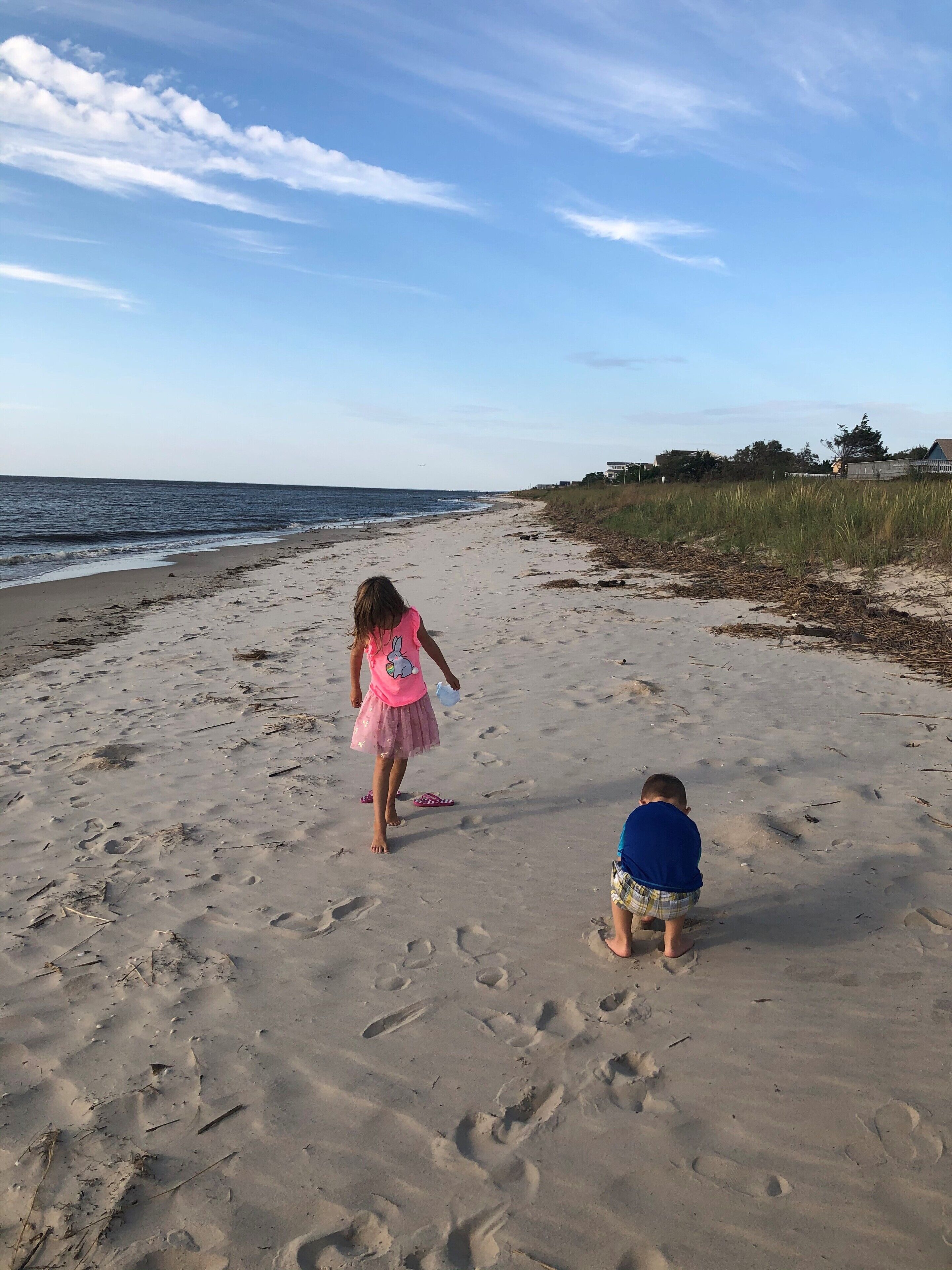 Playa en los alrededores y camastros 