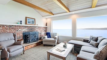 Télévision, cheminée, lecteur de DVD, livres