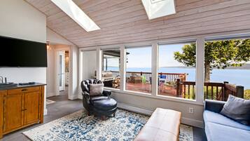 TV, fireplace, DVD player, books