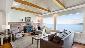 Télévision, cheminée, lecteur de DVD, livres