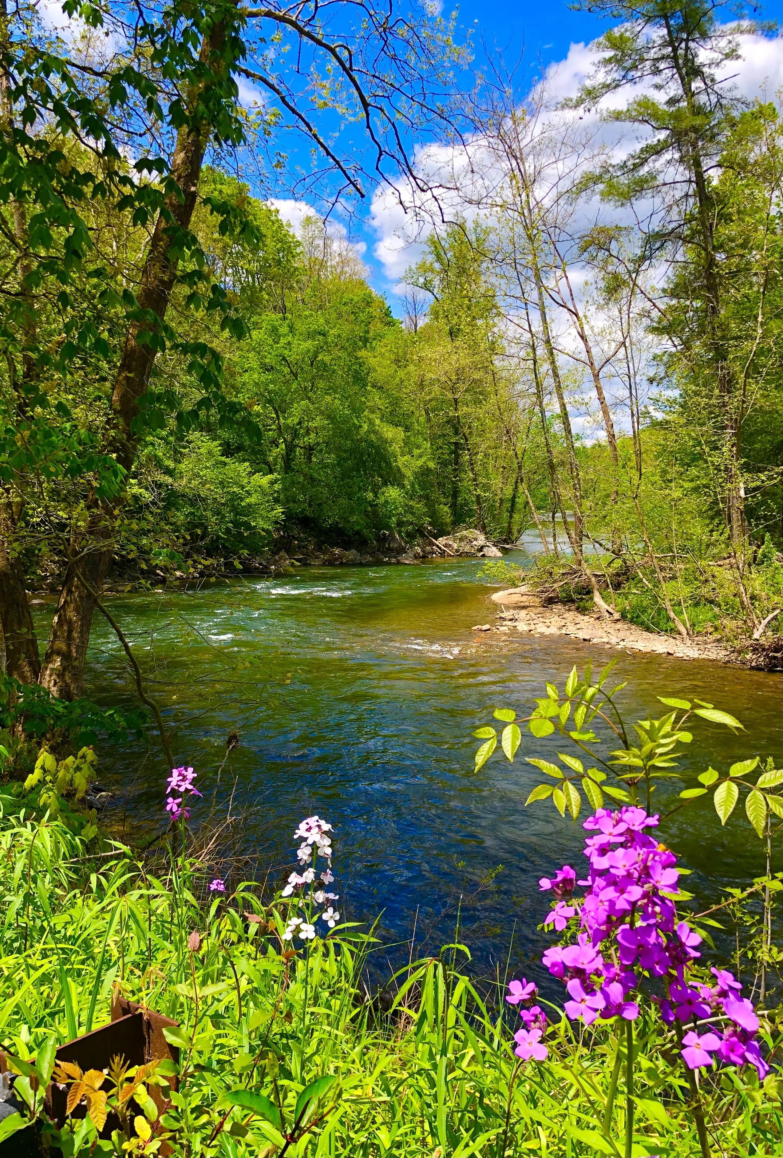 Heartwood Farm Cottage on the Riverbend and the VA Creeper Trail