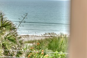 Paesaggio costiero con spiaggia sabbiosa, mare e vegetazione.