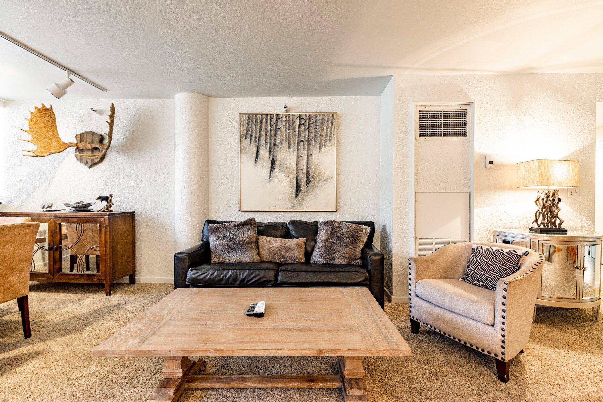 Smart TV, chimenea y reproductor de DVD 