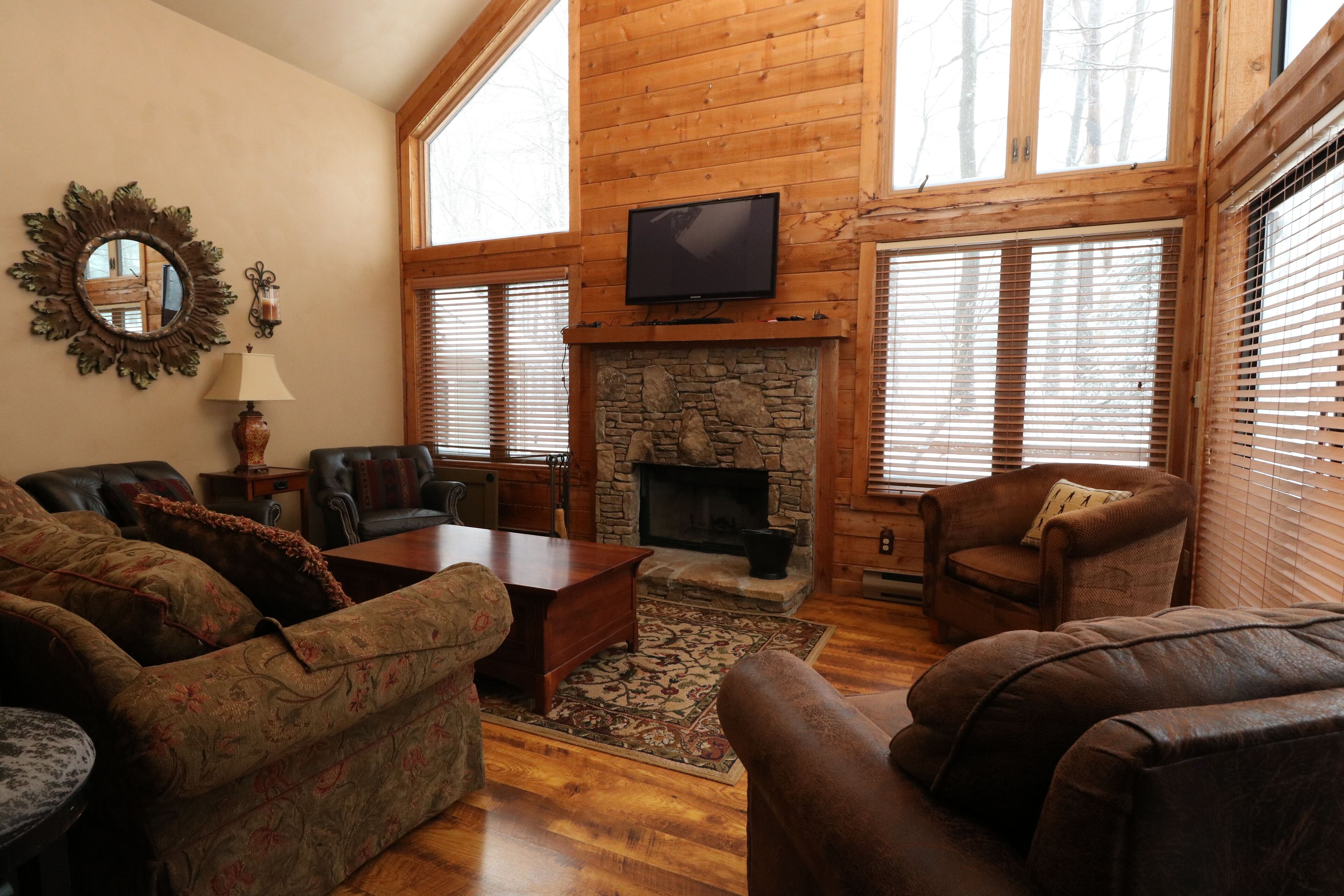 TV connectée, cheminée, lecteur de DVD, livres