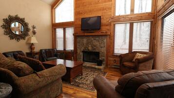 TV connectée, cheminée, lecteur de DVD, livres