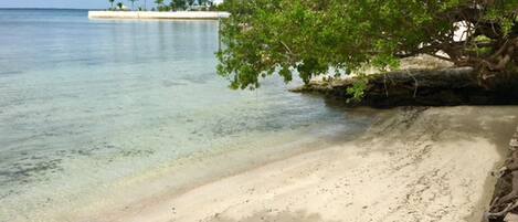 Plage, chaises longues, serviettes de plage