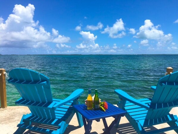 Property grounds - Situated on the Ocean Jacaranda Bay Villa (Nassau)