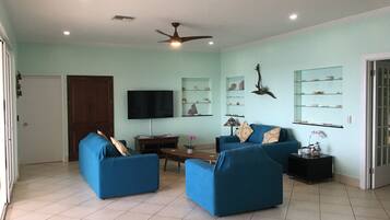 Una Smart TV, libros, un reproductor estéreo