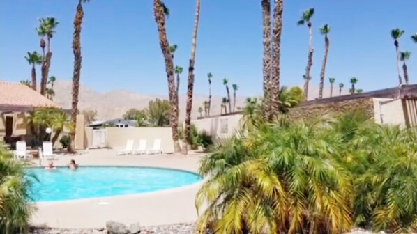 Relax by the resort pool surrounded by tall palm trees and lounge chairs.