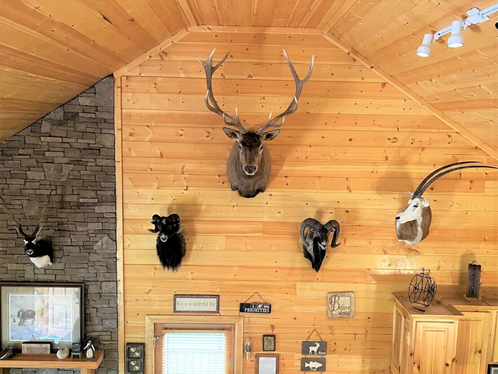 ✨KAYAKS✨River TUBES✨Pool table✨Mounts & ✨Antique Decor!