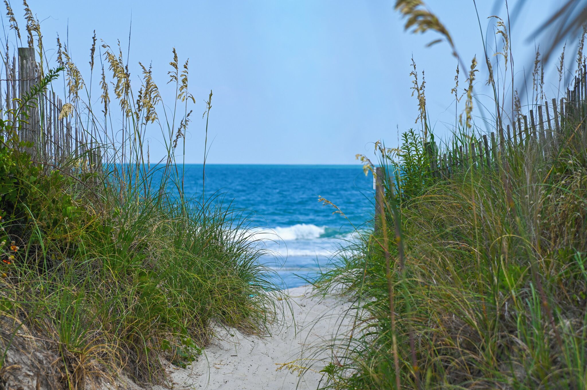 Strand
