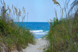 Ein sandiger Küstenweg führt zum Meer, begleitet von hohem Gras an beiden Seiten.