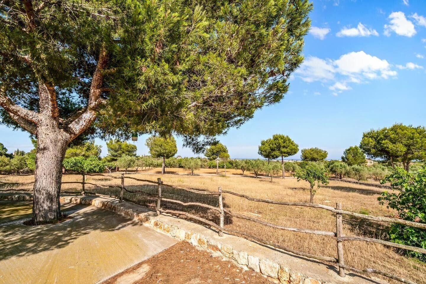 A tree-lined pathway with stone walls and a clear sky.