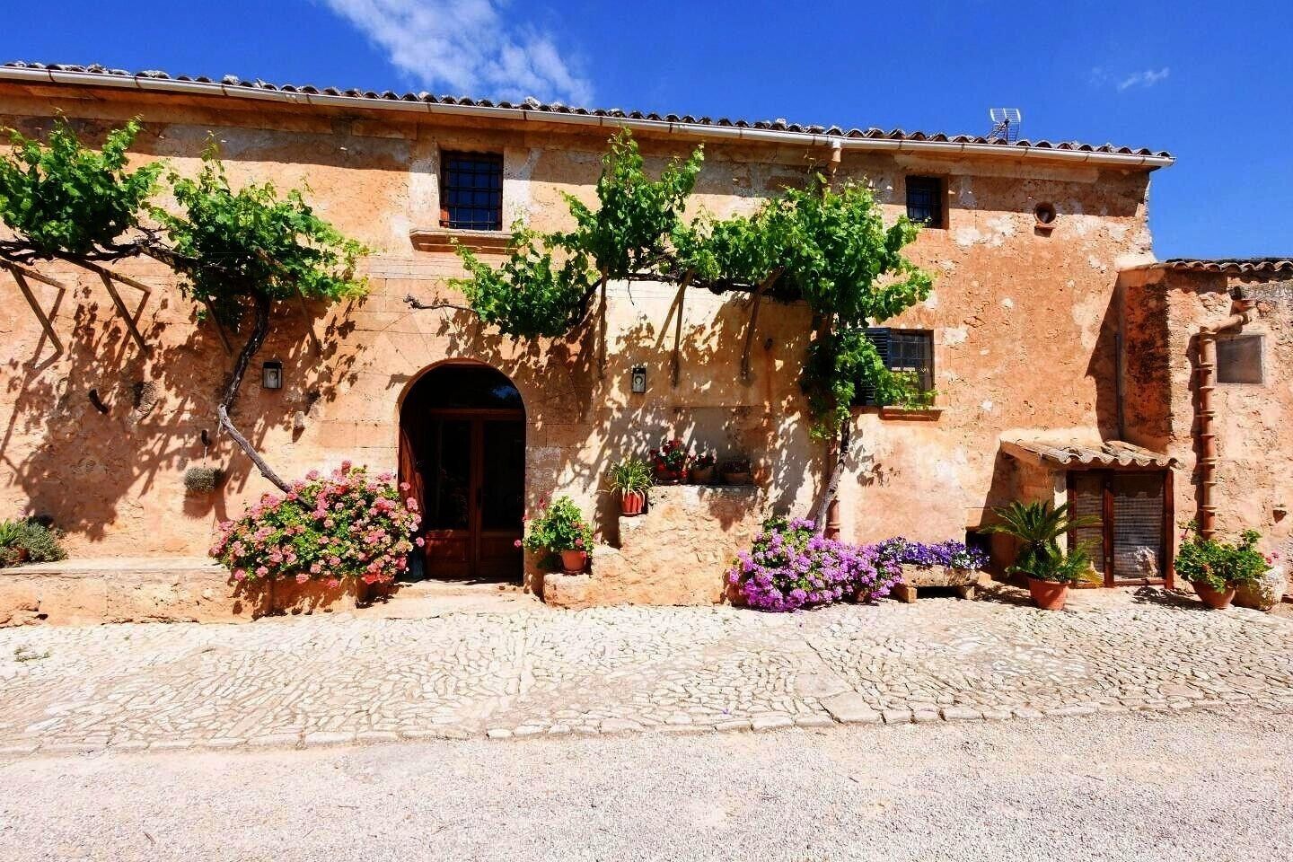 Un edificio tradicional con fachada de piedra, un acceso central y plantas en macetas.