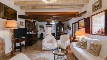 TV, fireplace, DVD player