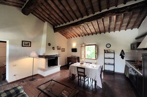 Cozy space with a fireplace, dining table, and kitchen area, perfect for a relaxing stay.