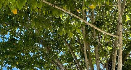 6 min walk to beach / private pool/ AC