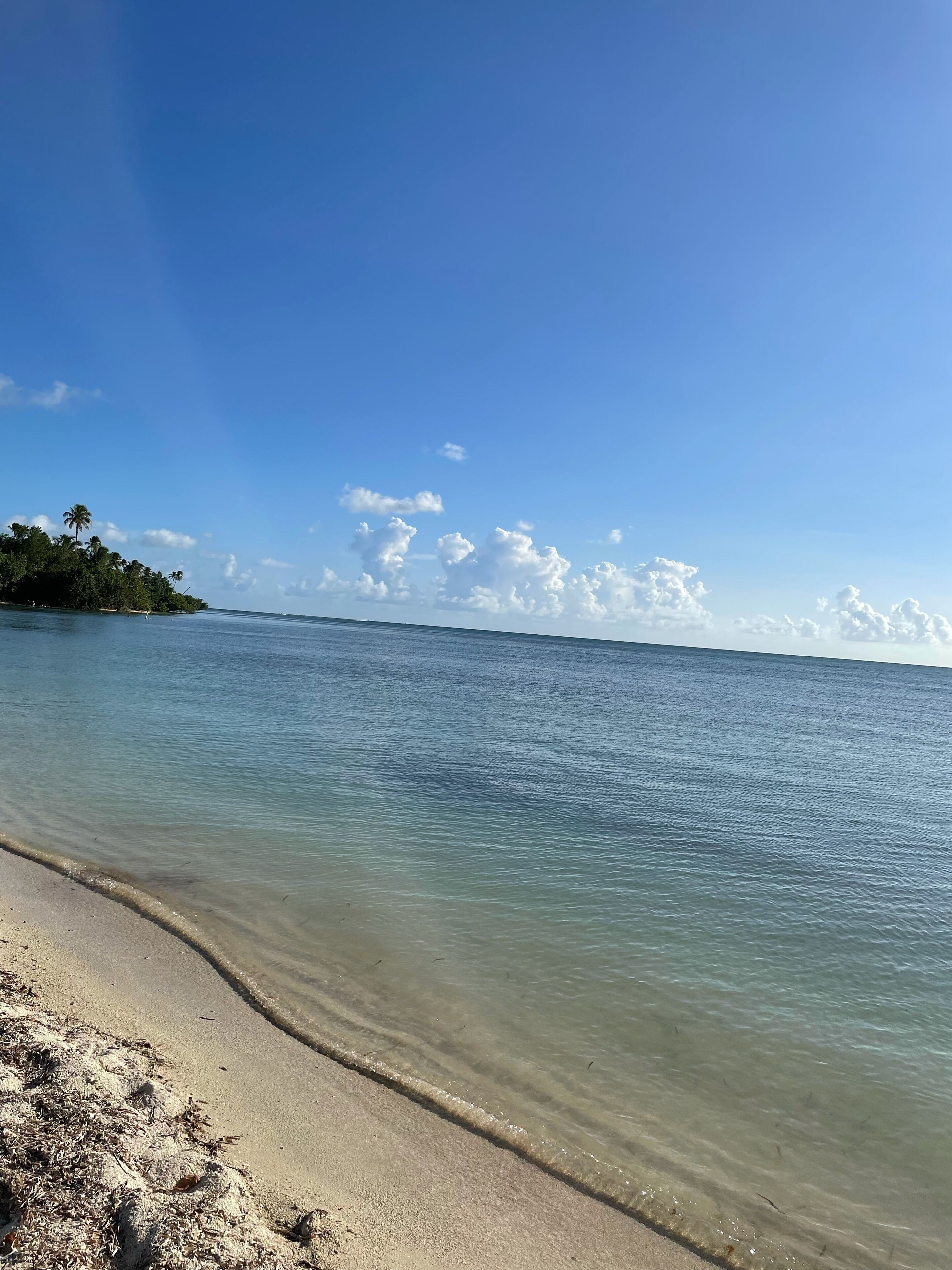 Beach nearby, beach towels