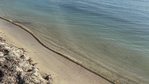 A beach with clear water, a sandy shore, and a distant island with palm trees. - 6 min walk to beach / private pool/ AC (Cabo Rojo)