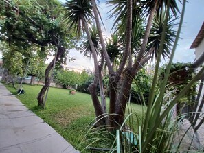 A garden with palm trees, a lawn, and a concrete pathway.