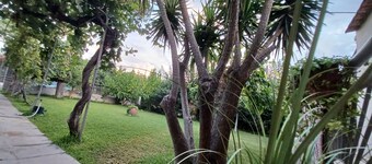 Beach House for 9 near Olympia