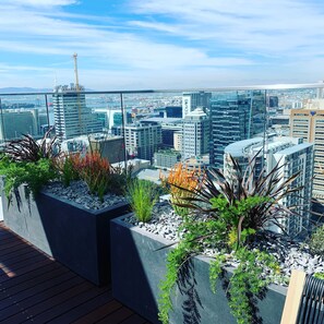 A rooftop garden with various plants and a cityscape view in the background. - Urban Elephant 16 on Bree (Cape Town)