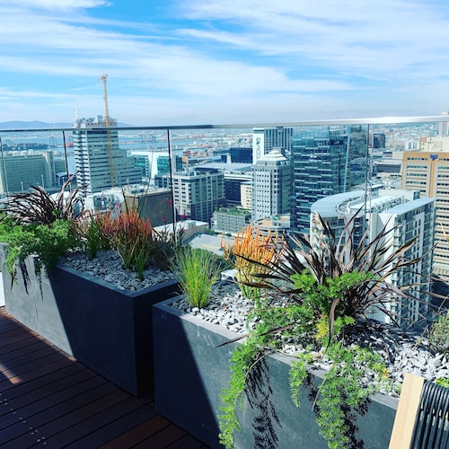 Urban Elephant 16 on Bree