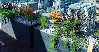 Urban Elephant 16 on Bree