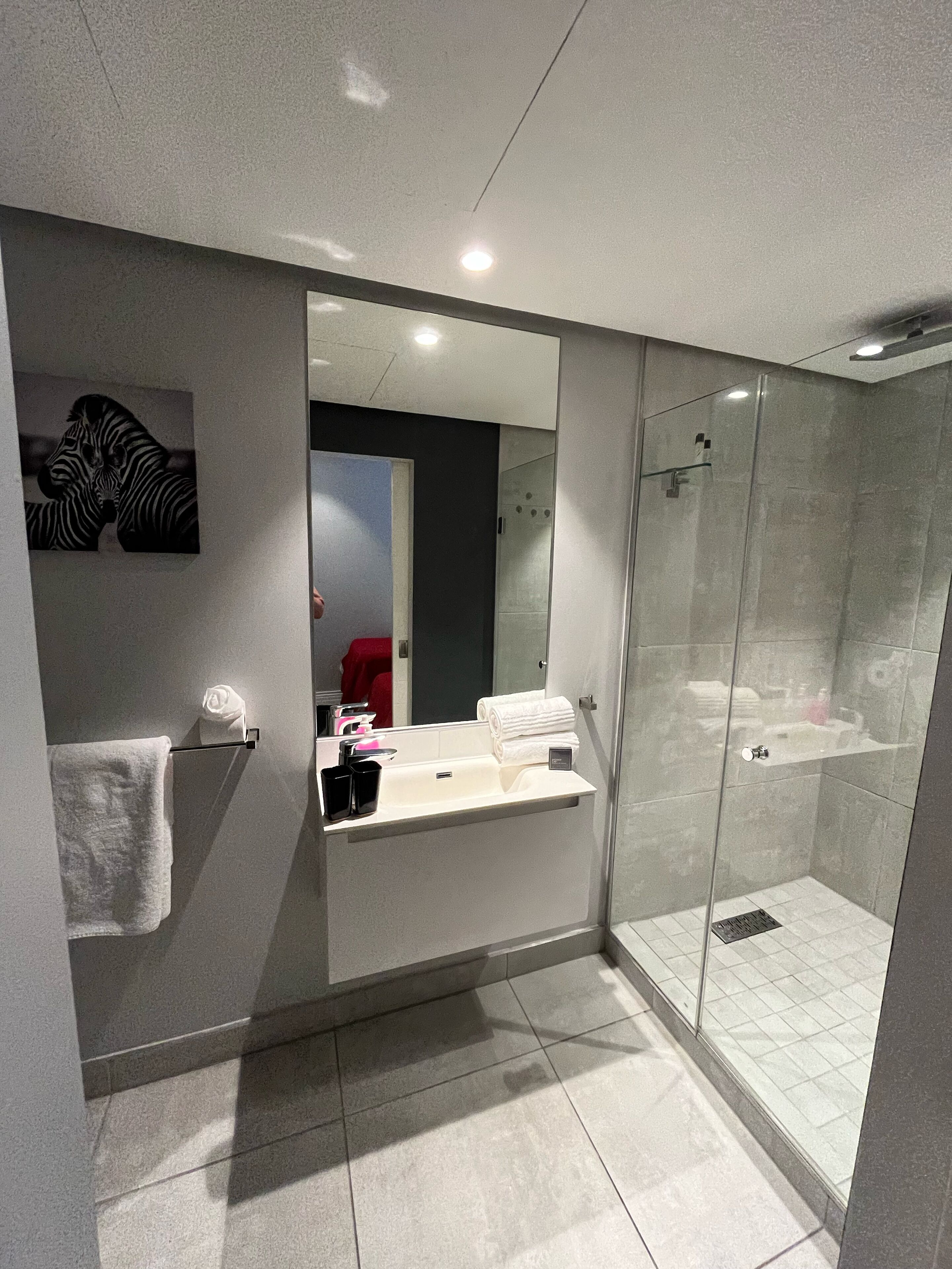 A modern bathroom with a glass shower enclosure, a vanity with a mirror, and a zebra artwork on the wall.