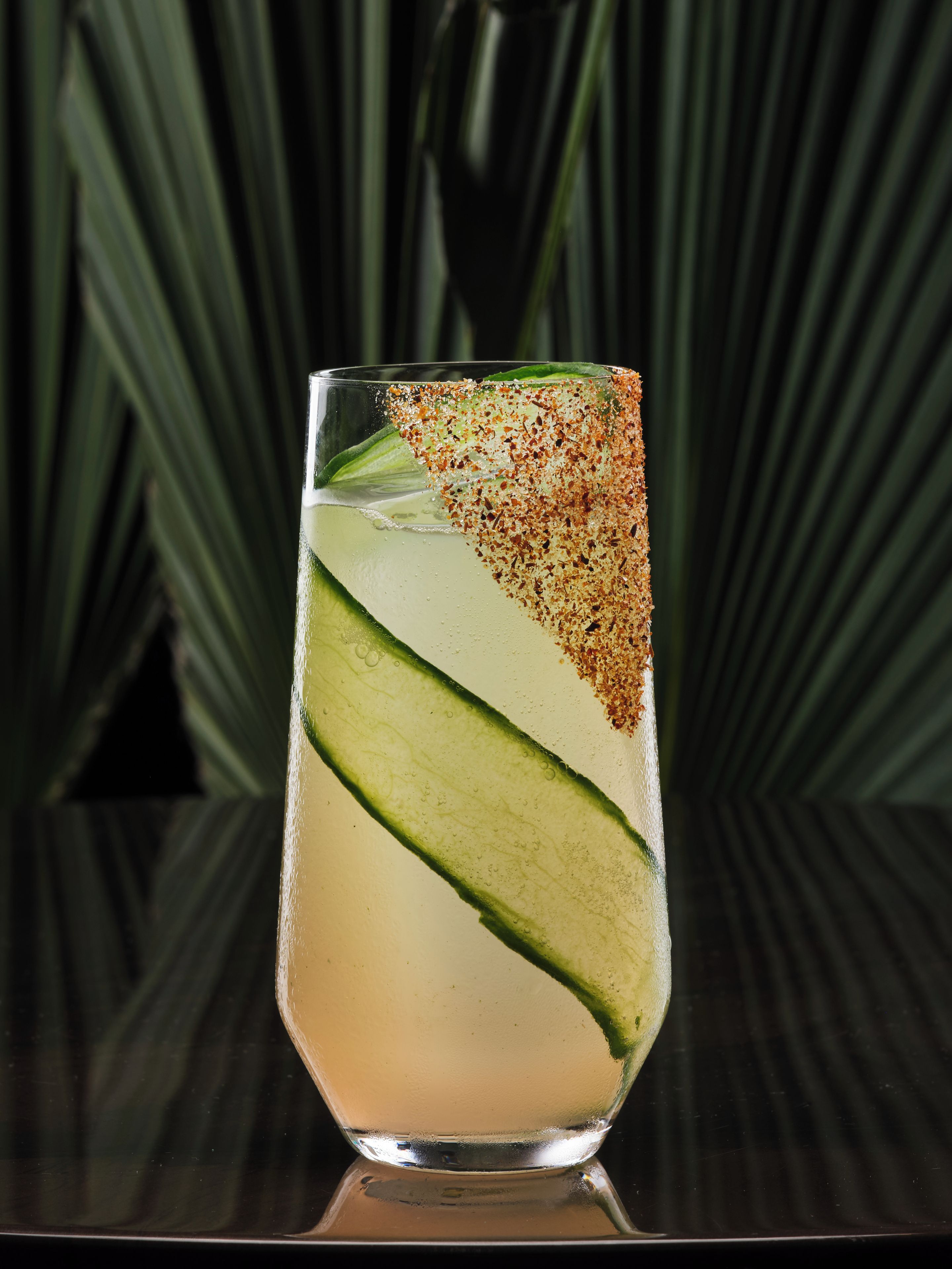 Ein hohes Glas mit klarer Flüssigkeit, garniert mit einer Gurkenscheibe und einer Prise Gewürze.