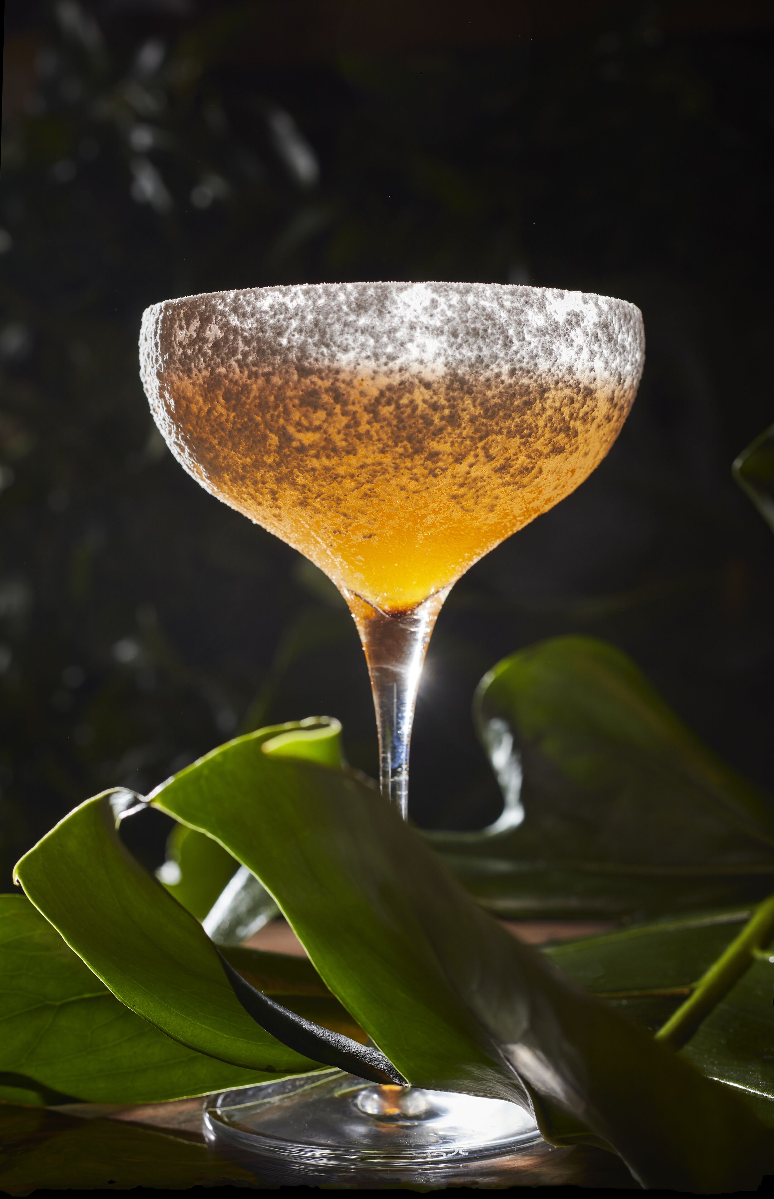 A martini glass with a frothy top, placed on a reflective surface with green leaves in the background.