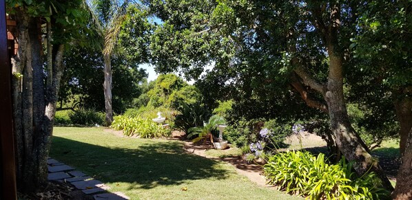 A garden with a pathway, trees, and a fountain.