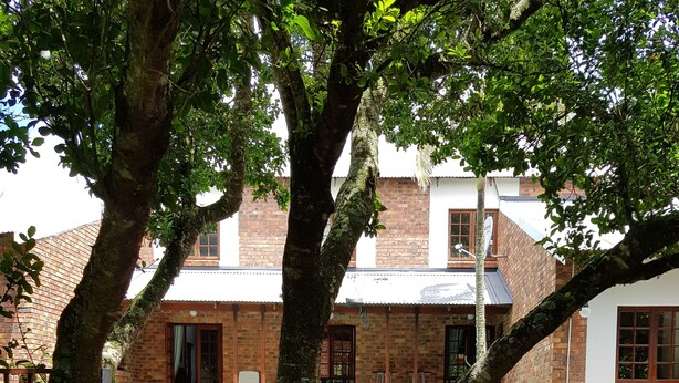 Una terraza de madera con escalones que conducen a una zona de piscina, rodeada de árboles y un edificio de ladrillo con fachada blanca.